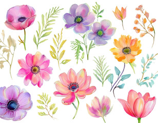 Fototapeta premium Colorful Anemone and Plant Vector Illustration Set for Wall Decor and Artistic Backgrounds