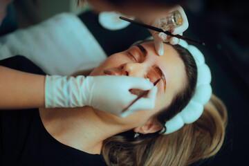 Beautician Dyes a the Stylized Eyebrows of a Female Client. Woman perfects her eyebrows to complete...