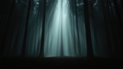 Mystical forest bathed in ethereal light.  Dense trees shrouded in mist, sunlight piercing the canopy