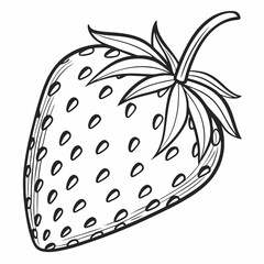 illustration of a strawberry