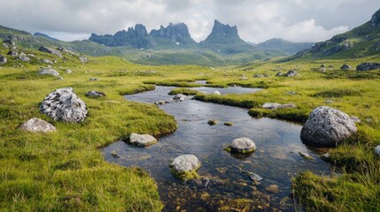 Tranquil stream landscape serene mountain meadow nature photography calm water green grass