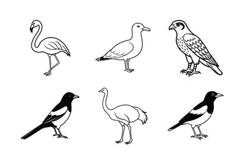 Set of bird vector art illustration