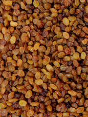 dried yellow raisins filled the whole frame with a scattering in close-up