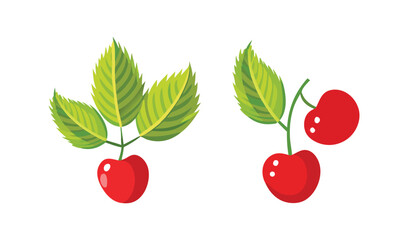 Obraz premium Fresh, ripe red cherries with green leaves, a sweet and healthy summer fruit