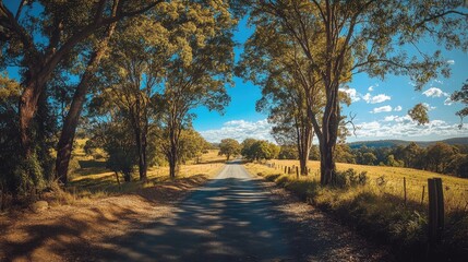 Fototapeta premium Tranquil rural road with trees casting shadows on a sunny day