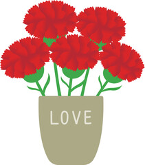 카네이션 꽃 화분