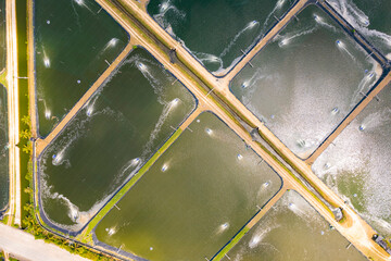 Overhead aerial view of organized fish and shrimp ponds with water aerators in Bohol, Philippines,...