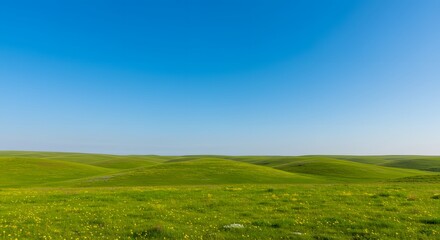 Obraz premium Rolling Hills with Sunny Meadow, and Blue Sky.
