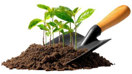 Thriving Sprouts: Tender young sprouts emerge from rich soil, alongside a garden trowel, embodying the essence of growth, potential, and the promise of new beginnings.