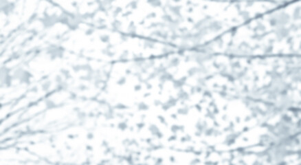 Tree shadow and light of leaf branch background. Nature leaves tropical jungle tree branch dark shadows and light from sunlight on wall texture for background wallpaper design, shadow overlay effect