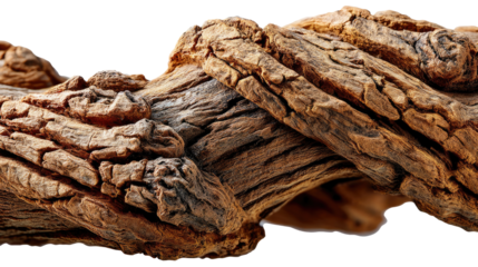 Gnarled Wood: A close-up shot of a weathered piece of wood. The texture shows the passage of time, with deep crevices and a rich, natural color.