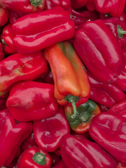 peppers, red color organic vegetables