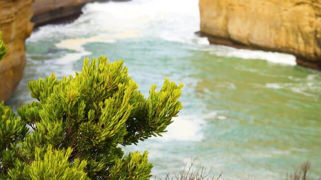 Scenic Views of Loch Ard Gorge Cliffs