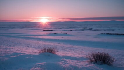 Snowy Field Landscape at Sunrise with Pink Sky and Sparse Bushes