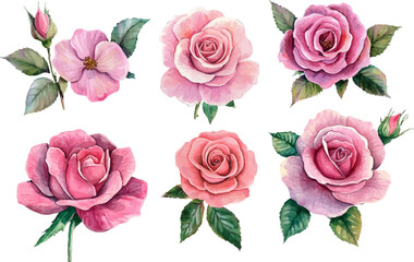 Fototapeta premium seamless pattern with roses