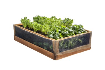 Raised garden bed with lush green vegetables growing inside a wooden box with mesh protection