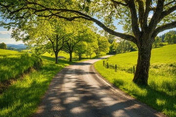 Winding road through lush green landscape