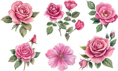 seamless pattern with pink roses