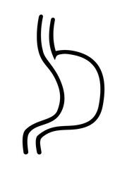 Vector illustration of stomach icon on white background.