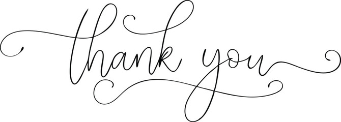 Thank You Elegant Script Calligraphy Lettering Isolated on White Background Design