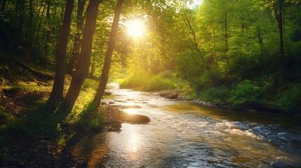 Obraz premium Sunlit river winding through a lush green forest landscape scenery