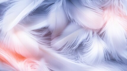 Soft, airy white feathers spread across a surface with subtle pastel hues, creating a serene and delicate atmosphere