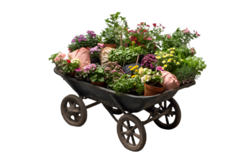 Colorful Flowers in a Wheelbarrow Gardening Plants Spring Bloom