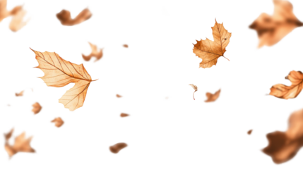 Falling Autumn Leaves: Light brown leaves dance on a breeze, creating a serene autumnal scene.
