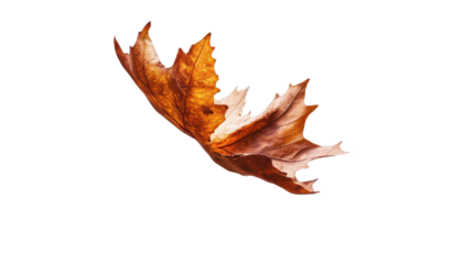 Dancing Leaf: A solitary, golden-brown leaf twirls gracefully, suspended in mid-air, a stunning visual of autumn's embrace. The image evokes a sense of freedom, and the seasonal transition.