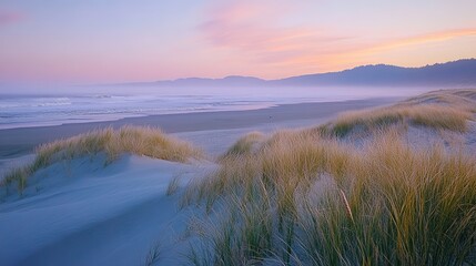  Vibrant Beach Grasses on Serene Sand Dunes: A Coastal Harmony of Color and Nature