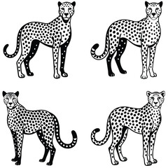 Obraz premium Cheetah Vector Silhoette Bundle Set Collection