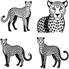 Fototapeta premium Cheetah Vector Silhoette Bundle Set Collection