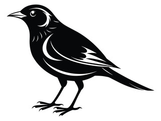 Black Lark silhouette vector illustration, a wild bird on a branch