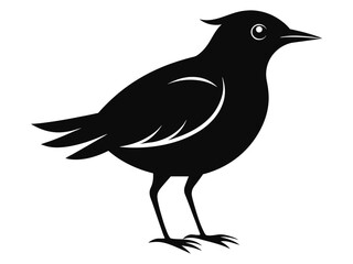 Fototapeta premium Black Lark silhouette vector illustration, a wild bird with beak and feather