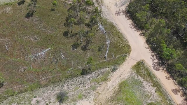 Aerial View of Rural Roads and Vegetation