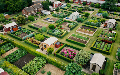 Aerial View of Community Allotment Gardens with Lush Greenery and Diverse Vegetable Plots, Small Sheds, and Boundary Hedges