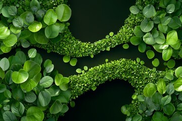 aerial view of a winding river through a lush wetland, showcasing the interplay of water and vegetation in a balanced ecosystem