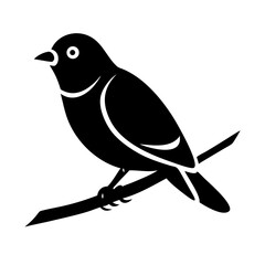 Obraz premium bird Cartoon drawn with line Vector Minimal SVG