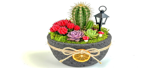 Photorealistic image of a miniature desert garden in a rustic, dark volcanic-stone pot adorned with a twine bow and a dried orange slice charm