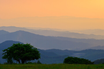 Naklejka premium 夕暮れ