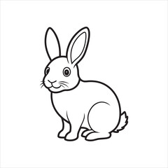 vector illustration of a rabbit with white background