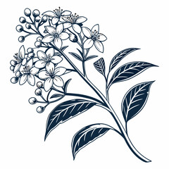 black and white flowers