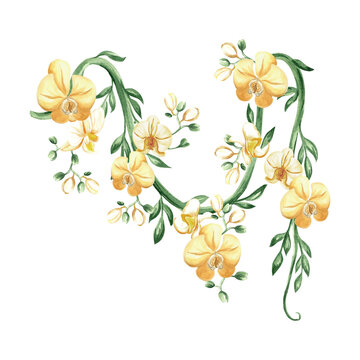 yellow orchids watercolor floral arrangement clip art preview