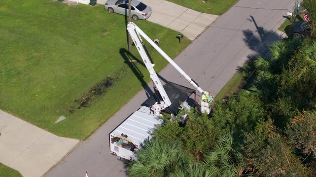 Vegetation trimming around power line. Municipal electrician worker cut tree branches eliminating the breakage of the electric grid wires.