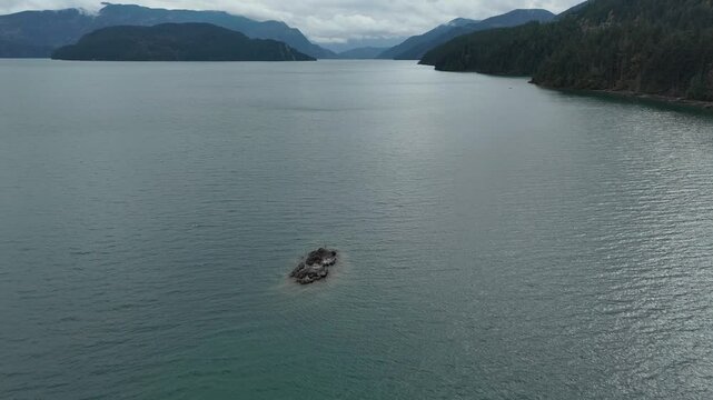 Aerial View of Sechelt Inlet and Coastal Forest in British Columbia, Canada