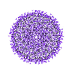 purple star ball, notice the inside, does it look like a star shape?