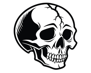 Obraz premium Human Skull Illustration. Symbol of Mortality and Life