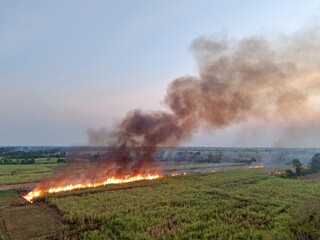 A sugarcane plantation is set on fire as part of the harvesting process in rural Thailand, sending black smoke and ash into the atmosphere.