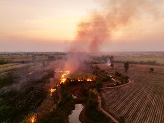 A sugarcane plantation is set on fire as part of the harvesting process in rural Thailand, sending black smoke and ash into the atmosphere.