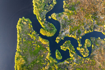 Wetlands wild tropical nature at sunset. Florida ecosystem landscape